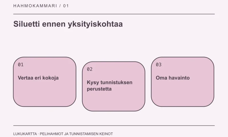 Lukukartta: Siluetti ennen yksityiskohtaa. Vertaa eri kokoja, Kysy tunnistuksen perustetta, Oma havainto.