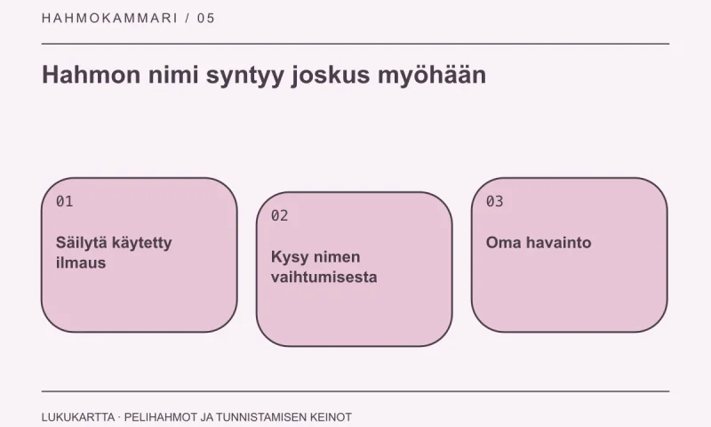 Lukukartta: Hahmon nimi syntyy joskus myöhään. Säilytä käytetty ilmaus, Kysy nimen vaihtumisesta, Oma havainto.